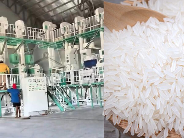 60t_rice_mill_in_philippines (3)